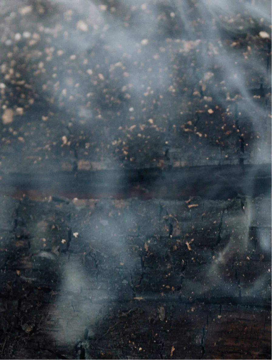 Silk Finish Conditioner